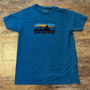 Patagonia Teal Graphic Tee
